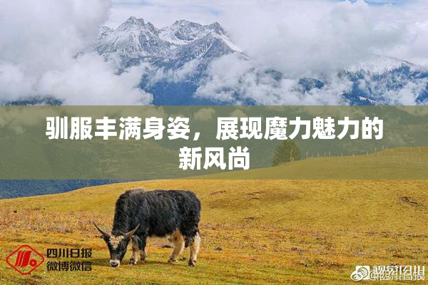 驯服丰满身姿，展现魔力魅力的新风尚