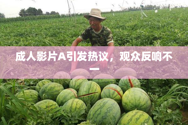 成人影片A引发热议，观众反响不一