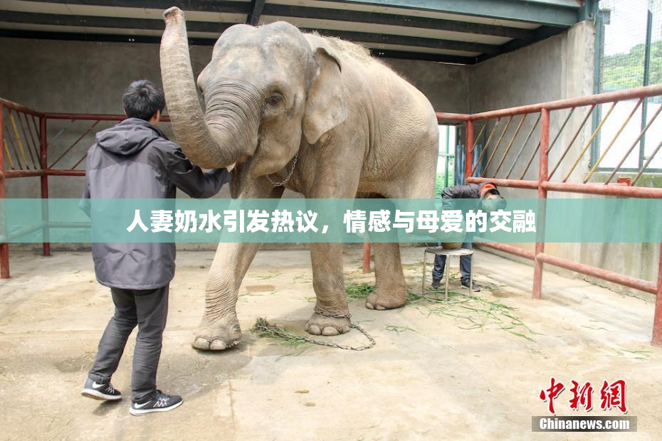 人妻奶水引发热议，情感与母爱的交融