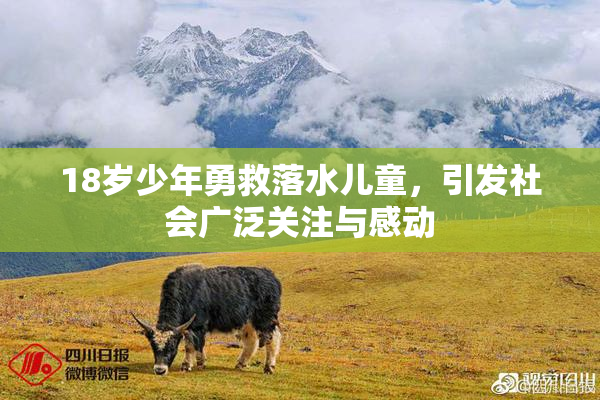 18岁少年勇救落水儿童，引发社会广泛关注与感动