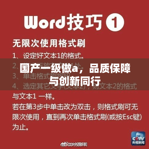 国产一级做a，品质保障与创新同行