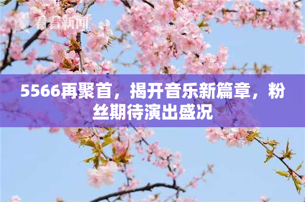 5566再聚首，揭开音乐新篇章，粉丝期待演出盛况