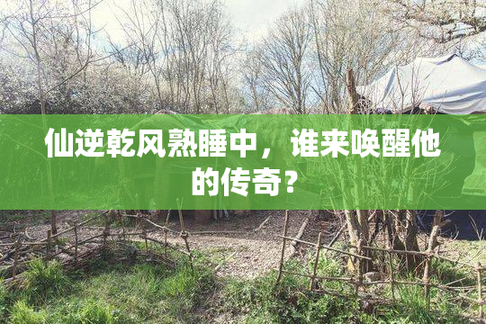 仙逆乾风熟睡中，谁来唤醒他的传奇？