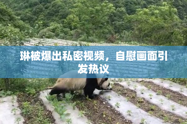琳被爆出私密视频，自慰画面引发热议