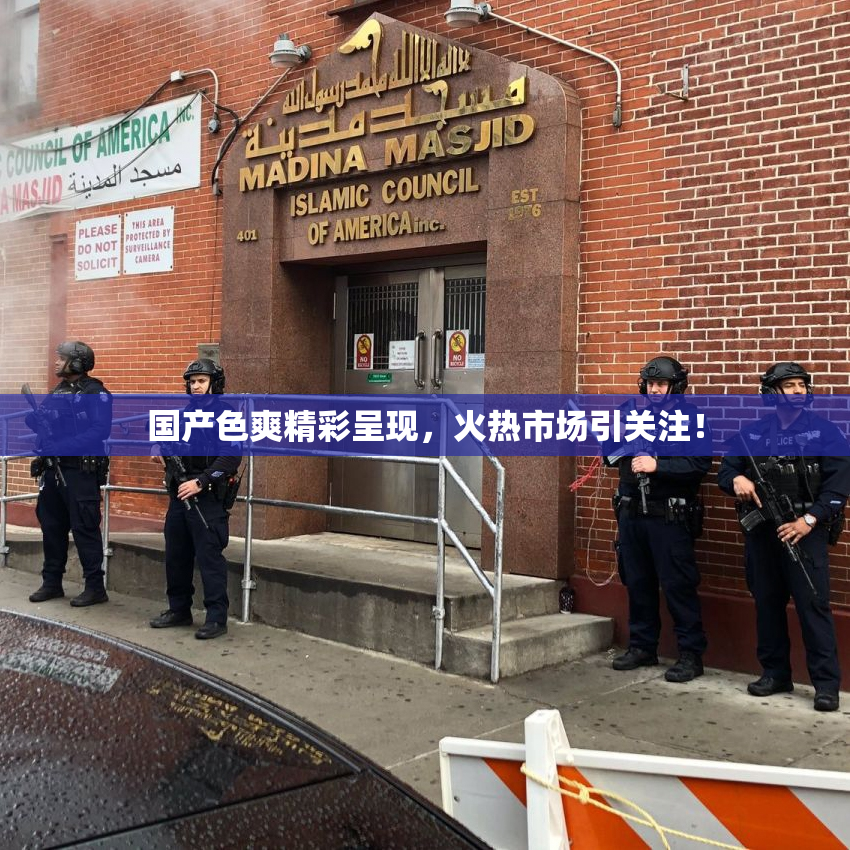 国产色爽精彩呈现，火热市场引关注！