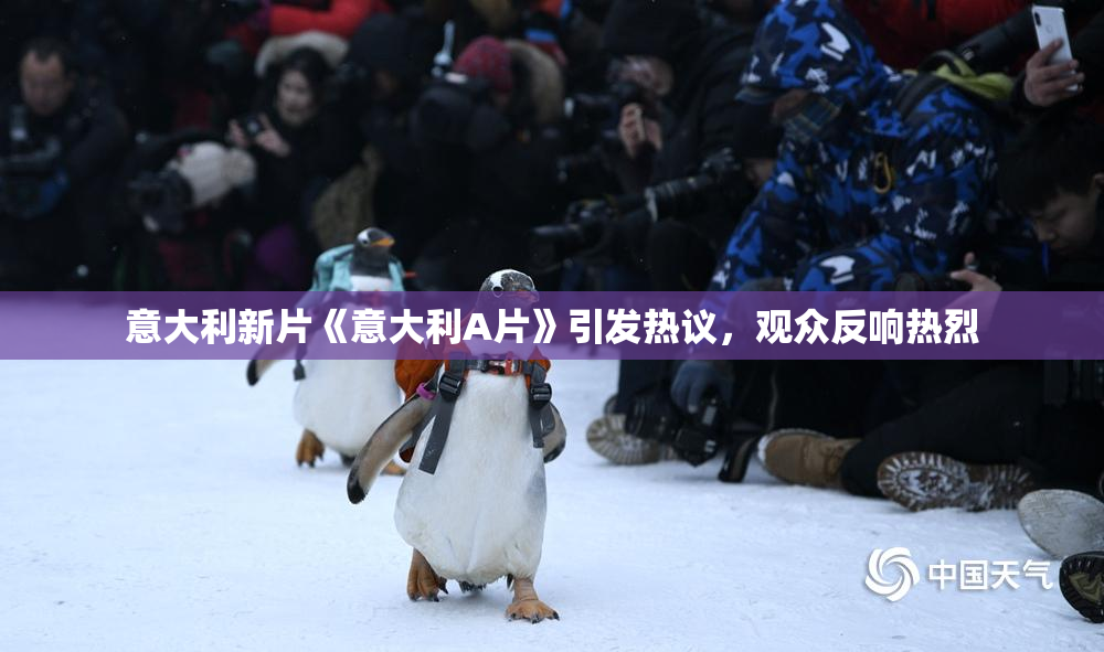意大利新片《意大利A片》引发热议，观众反响热烈