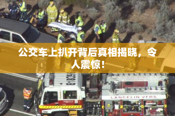 公交车上扒开背后真相揭晓，令人震惊！