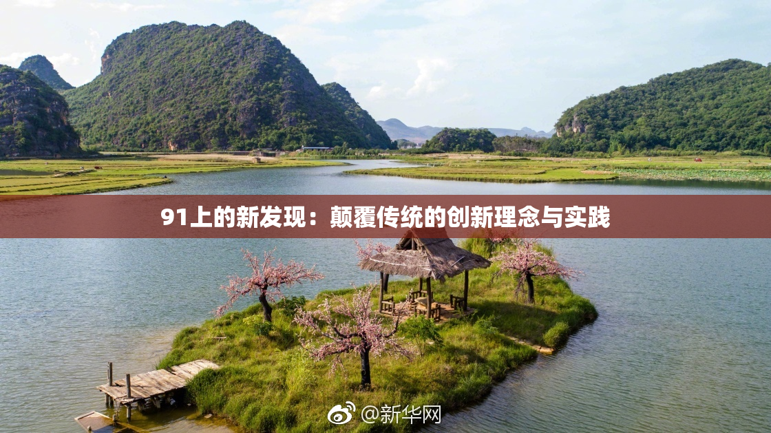 91上的新发现：颠覆传统的创新理念与实践