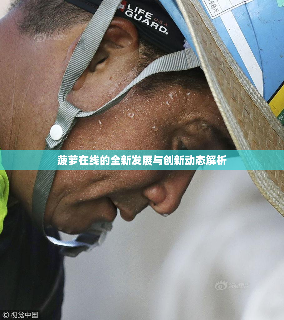 菠萝在线的全新发展与创新动态解析