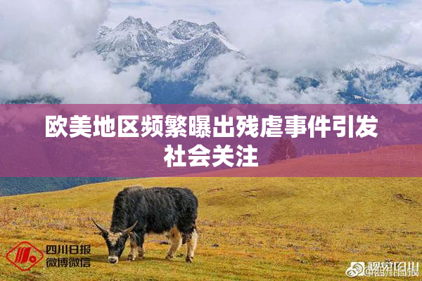 欧美地区频繁曝出残虐事件引发社会关注