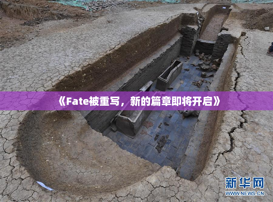 《Fate被重写，新的篇章即将开启》