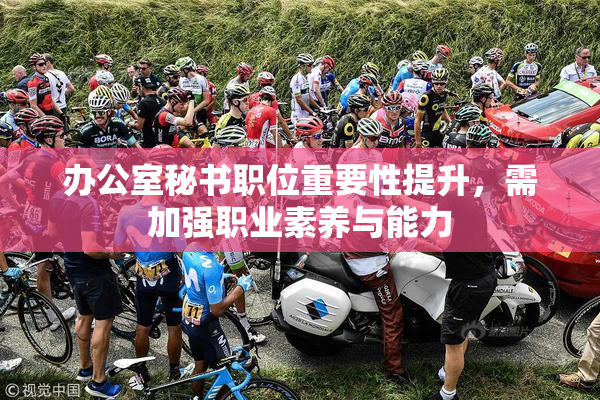 办公室秘书职位重要性提升，需加强职业素养与能力