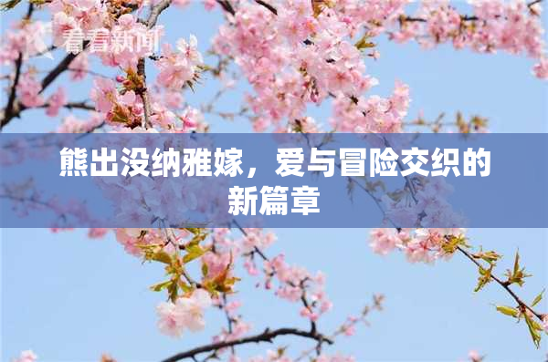 熊出没纳雅嫁，爱与冒险交织的新篇章