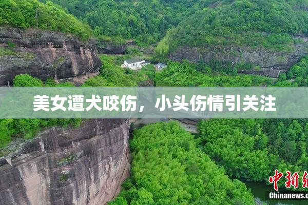 美女遭犬咬伤，小头伤情引关注