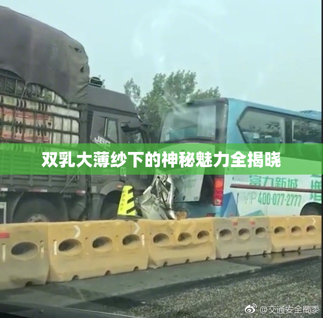 双乳大薄纱下的神秘魅力全揭晓