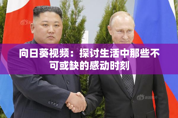向日葵视频：探讨生活中那些不可或缺的感动时刻