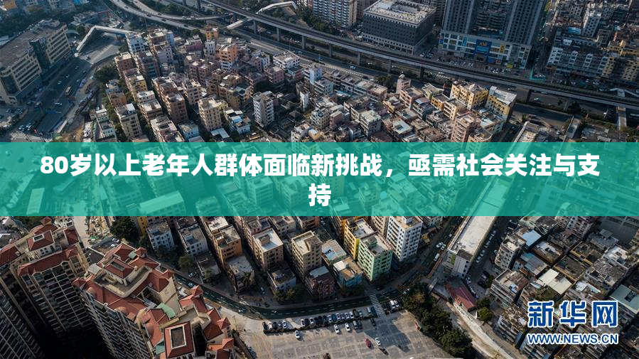 80岁以上老年人群体面临新挑战，亟需社会关注与支持