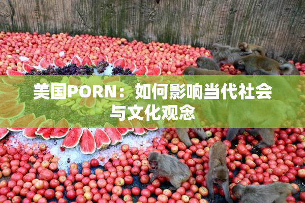 美国PORN：如何影响当代社会与文化观念
