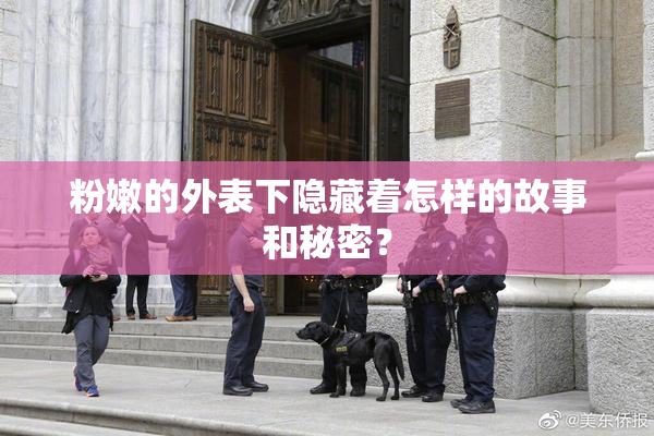粉嫩的外表下隐藏着怎样的故事和秘密？