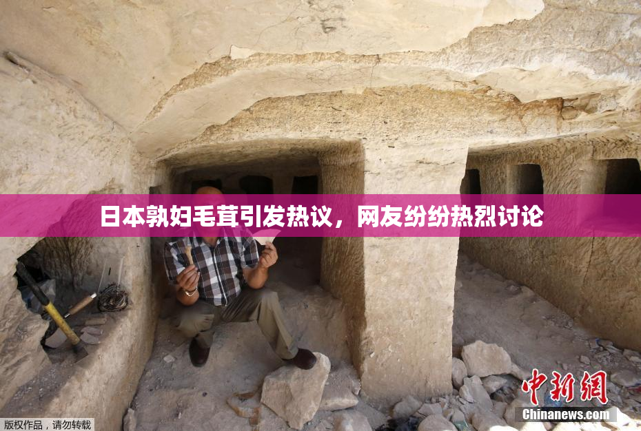 日本孰妇毛茸引发热议，网友纷纷热烈讨论
