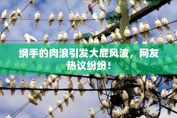 纲手的肉浪引发大屁风波，网友热议纷纷！
