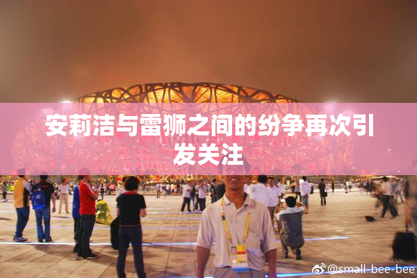 安莉洁与雷狮之间的纷争再次引发关注