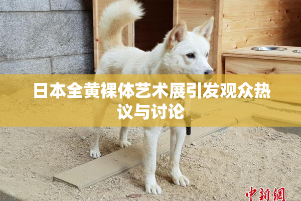 日本全黄裸体艺术展引发观众热议与讨论