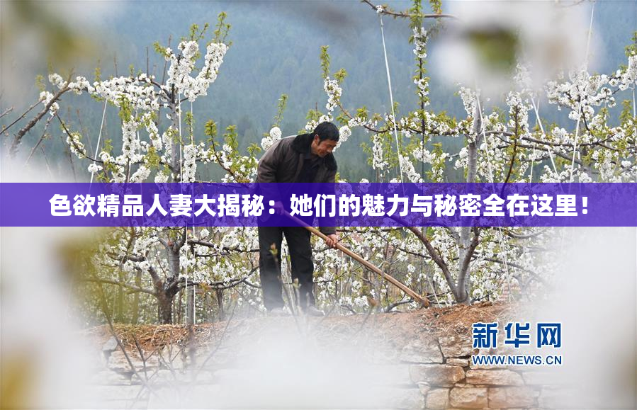 色欲精品人妻大揭秘：她们的魅力与秘密全在这里！