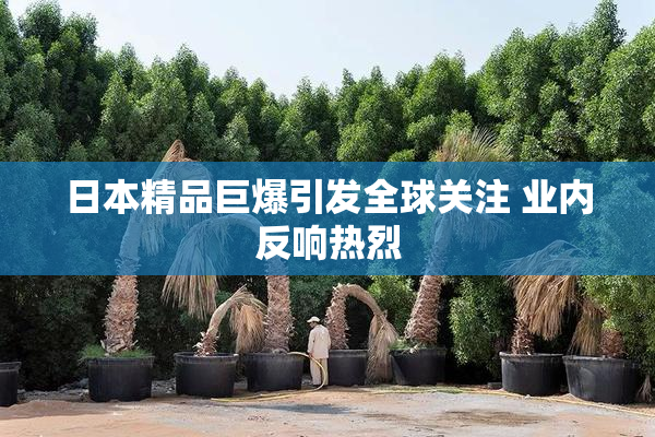 日本精品巨爆引发全球关注 业内反响热烈