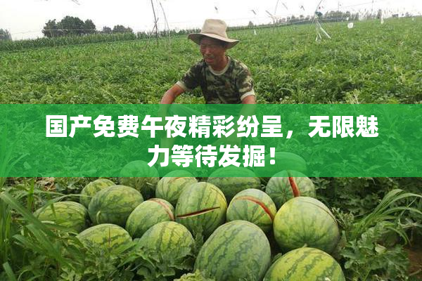 国产免费午夜精彩纷呈，无限魅力等待发掘！