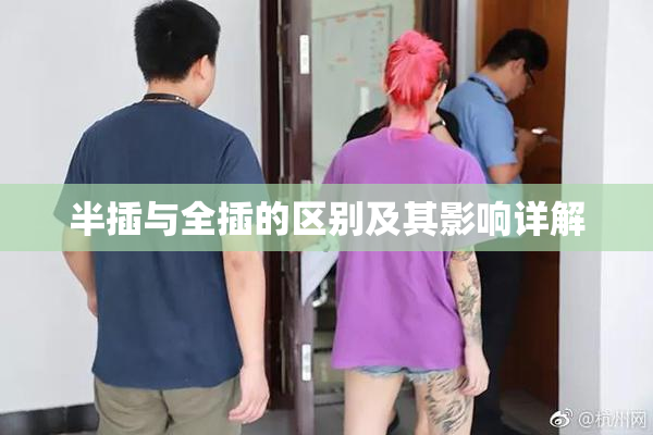 半插与全插的区别及其影响详解