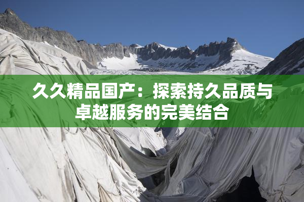 久久精品国产：探索持久品质与卓越服务的完美结合