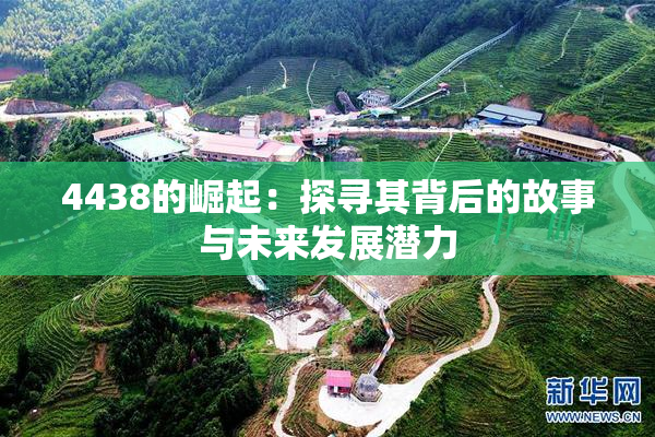 4438的崛起：探寻其背后的故事与未来发展潜力
