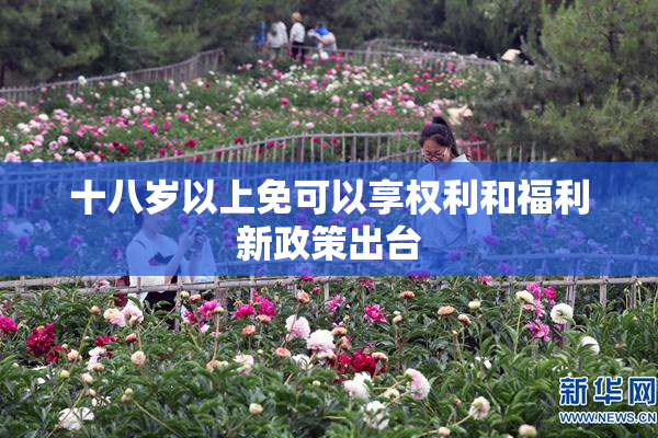 十八岁以上免可以享权利和福利新政策出台