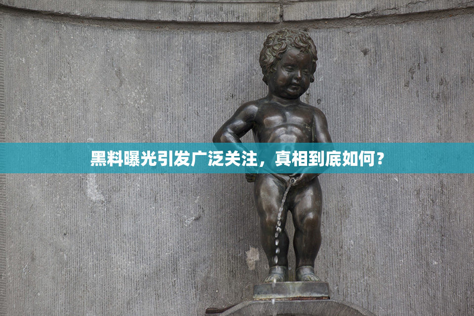 黑料曝光引发广泛关注，真相到底如何？