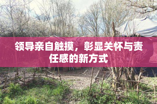 领导亲自触摸，彰显关怀与责任感的新方式