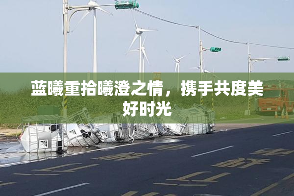 蓝曦重拾曦澄之情，携手共度美好时光