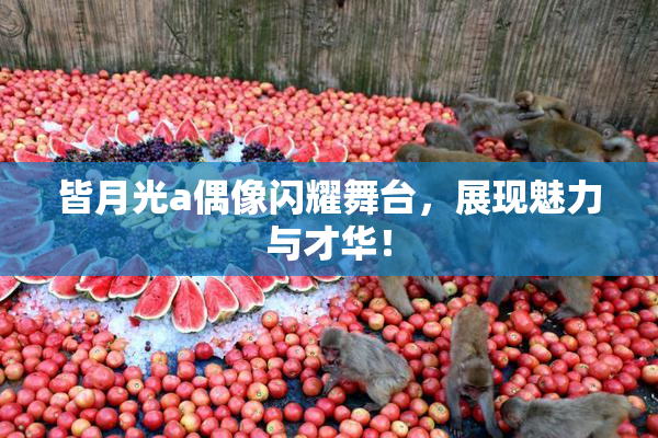 皆月光a偶像闪耀舞台，展现魅力与才华！