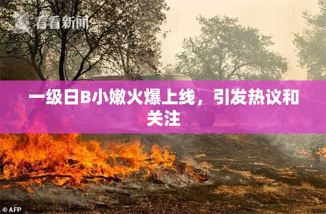 一级日B小嫩火爆上线，引发热议和关注