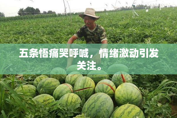五条悟痛哭呼喊，情绪激动引发关注。