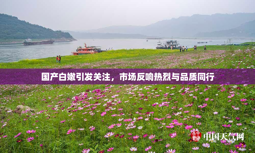 国产白嫩引发关注，市场反响热烈与品质同行