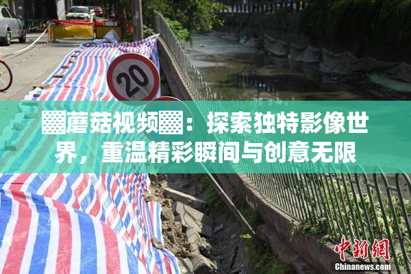 ▓蘑菇视频▓：探索独特影像世界，重温精彩瞬间与创意无限
