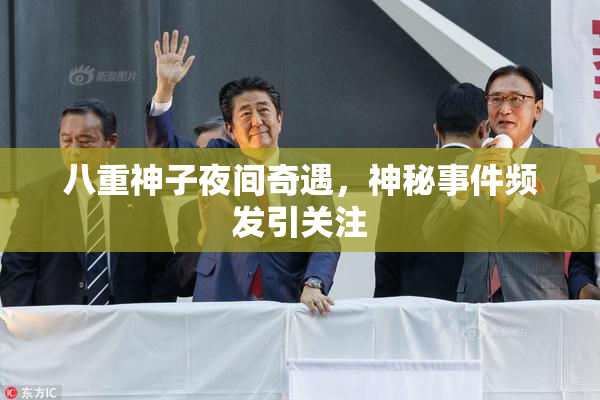 八重神子夜间奇遇，神秘事件频发引关注