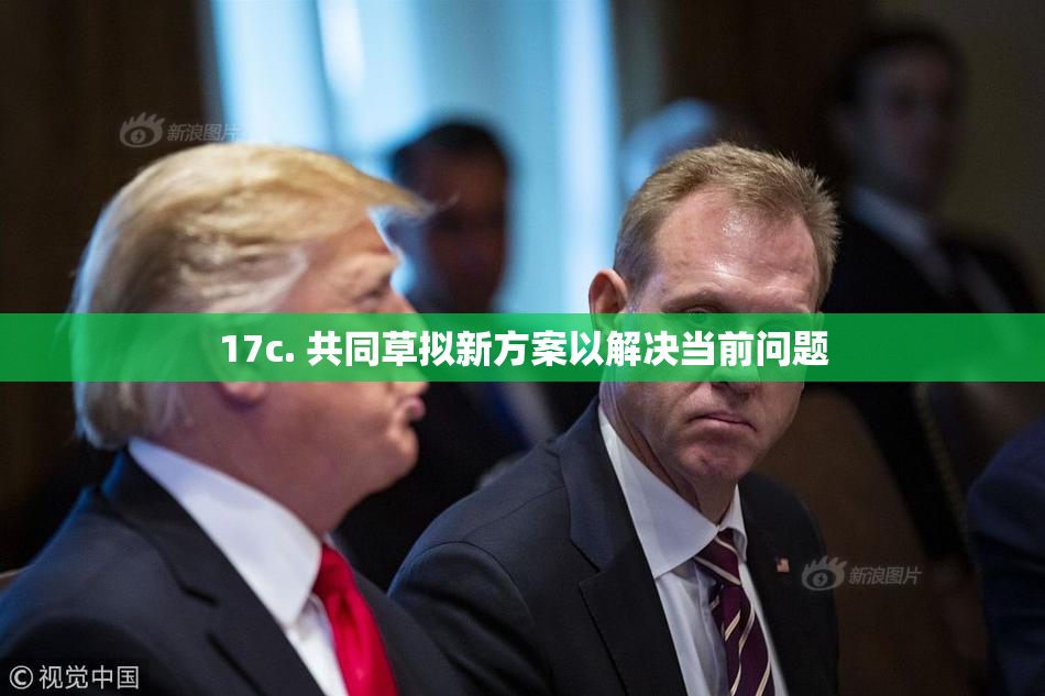 17c. 共同草拟新方案以解决当前问题