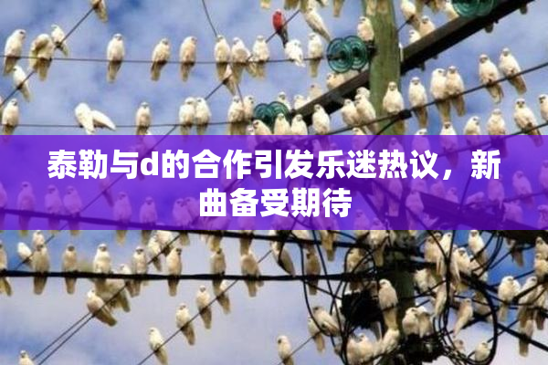 泰勒与d的合作引发乐迷热议，新曲备受期待