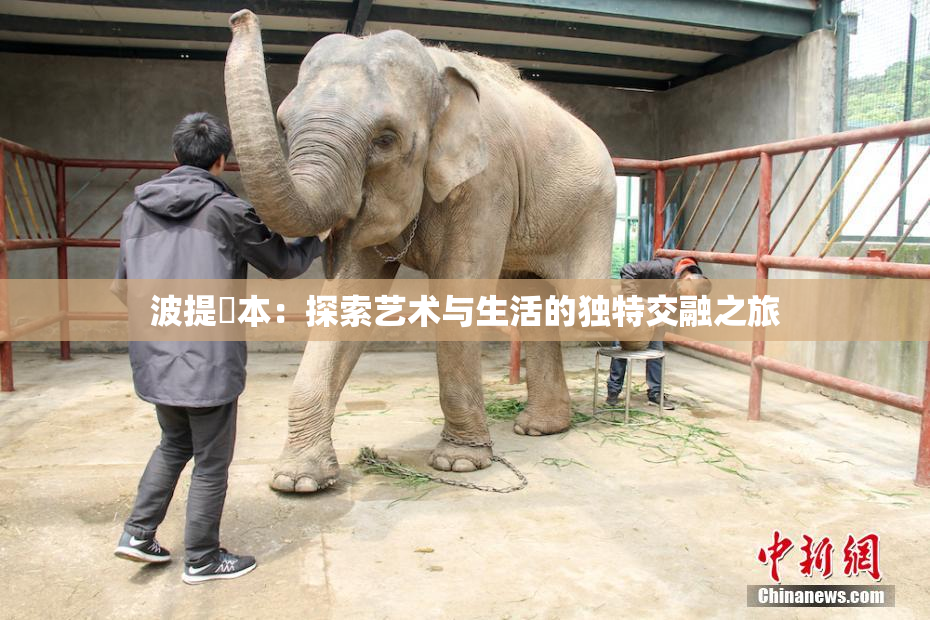 波提歐本：探索艺术与生活的独特交融之旅