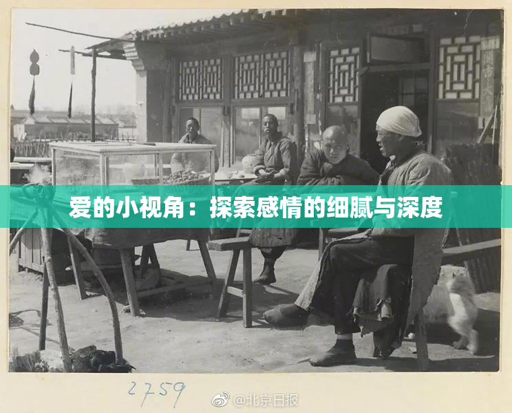 爱的小视角：探索感情的细腻与深度