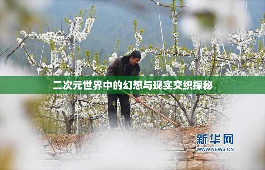 二次元世界中的幻想与现实交织探秘