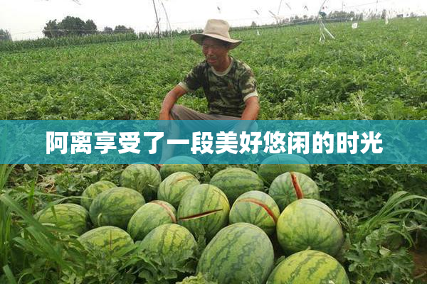 阿离享受了一段美好悠闲的时光