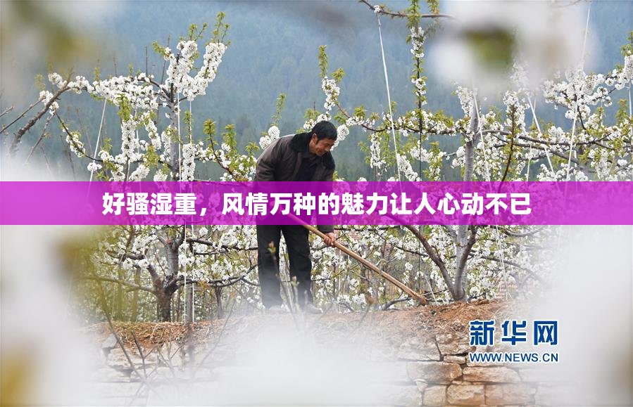 好骚湿重，风情万种的魅力让人心动不已